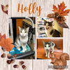 Holly