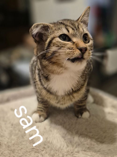 Sam