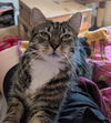 Chloe