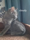 Cloudy