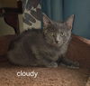 Cloudy