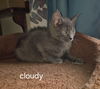 Cloudy