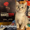 Persphone