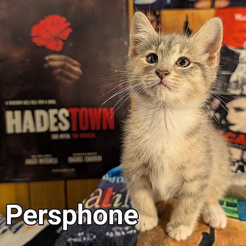 Persphone