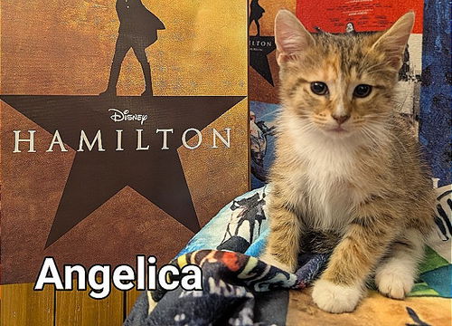 Angelica