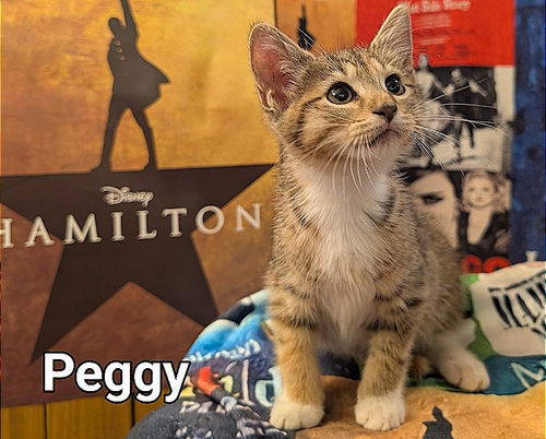 Peggy
