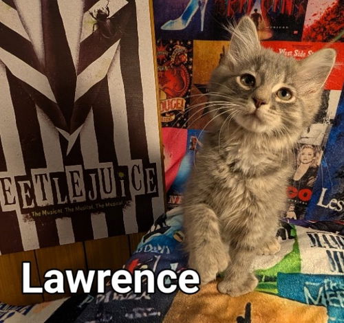 Lawrence