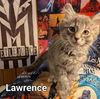 Lawrence