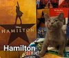 Hamilton