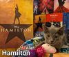 Hamilton