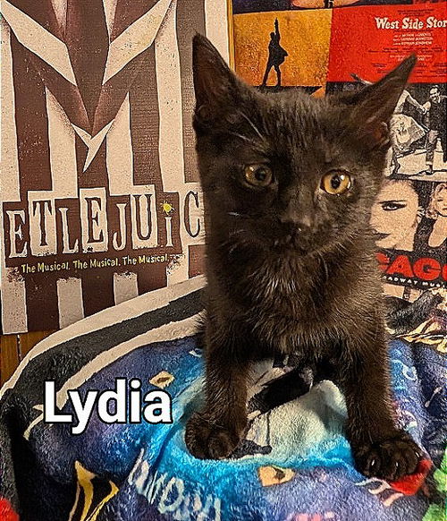 Lydia