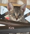Kirk