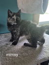Mimsy