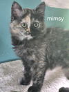 Mimsy