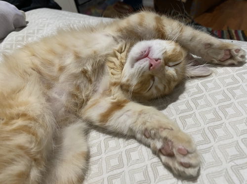 Rusty