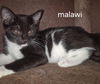 Malawi