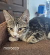 Morocco