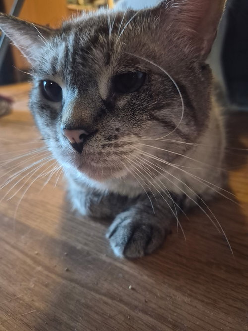 Buster