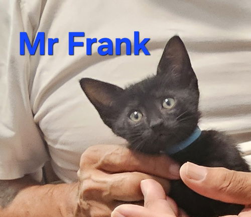 Frank