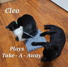 Cleo