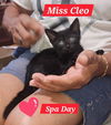 Cleo