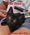 Inka