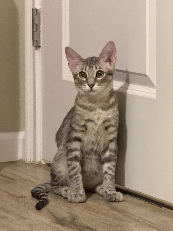 Max