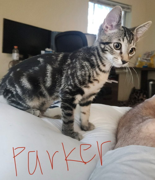 Parker