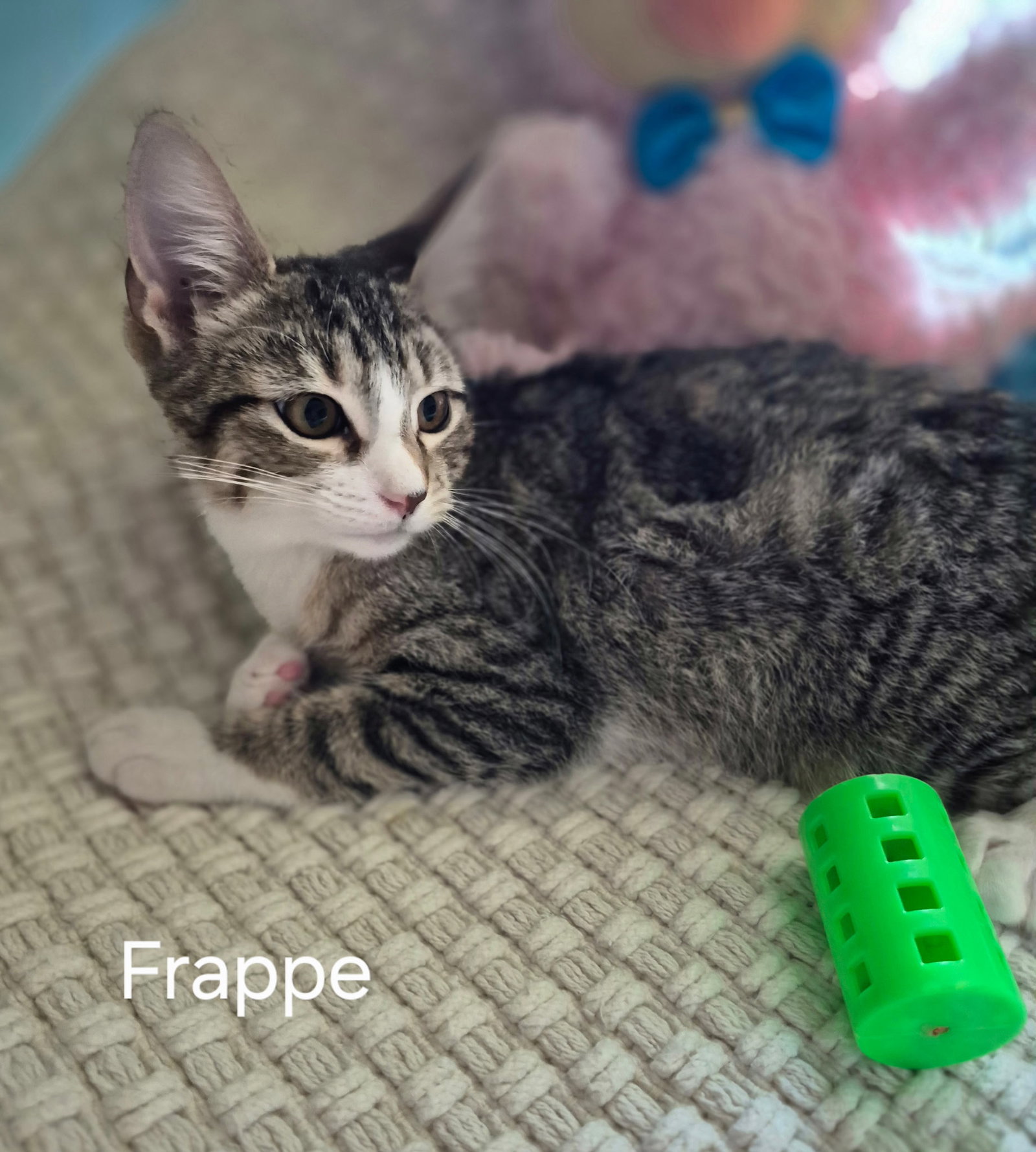 Frappe Image