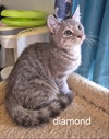 Diamond