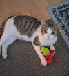 Ruby the Sweet Mama