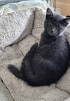 Axel