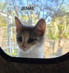 Jennae