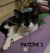 Patches