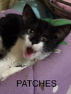 Patches