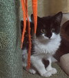 Patches