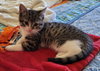 Wilma