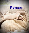 Roman