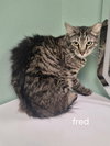 Fred