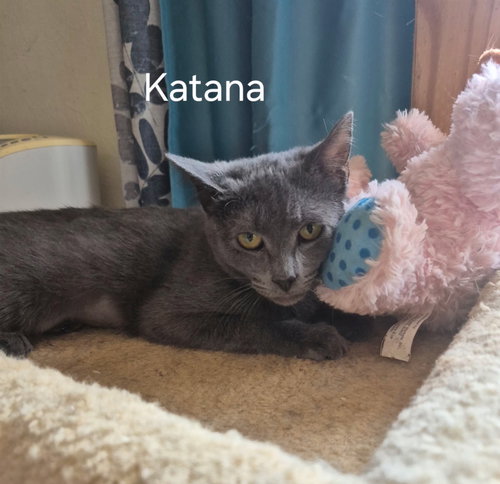 Katana
