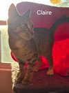 Claire