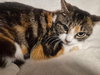 Thelma
