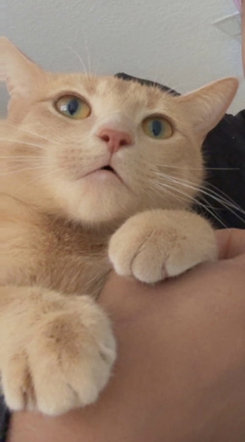 Honey photo 2