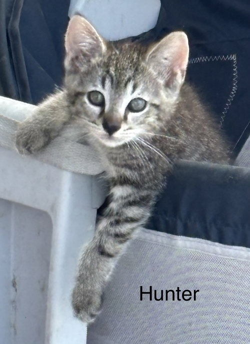 Hunter