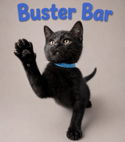 Buster Bar