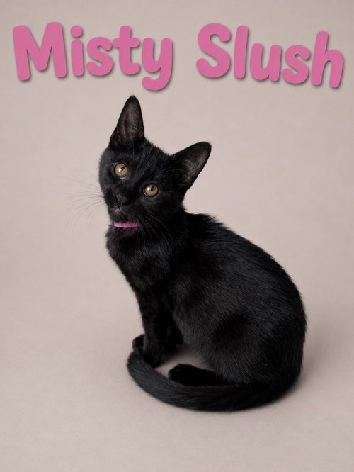 Misty Slush photo 2