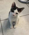 Mia