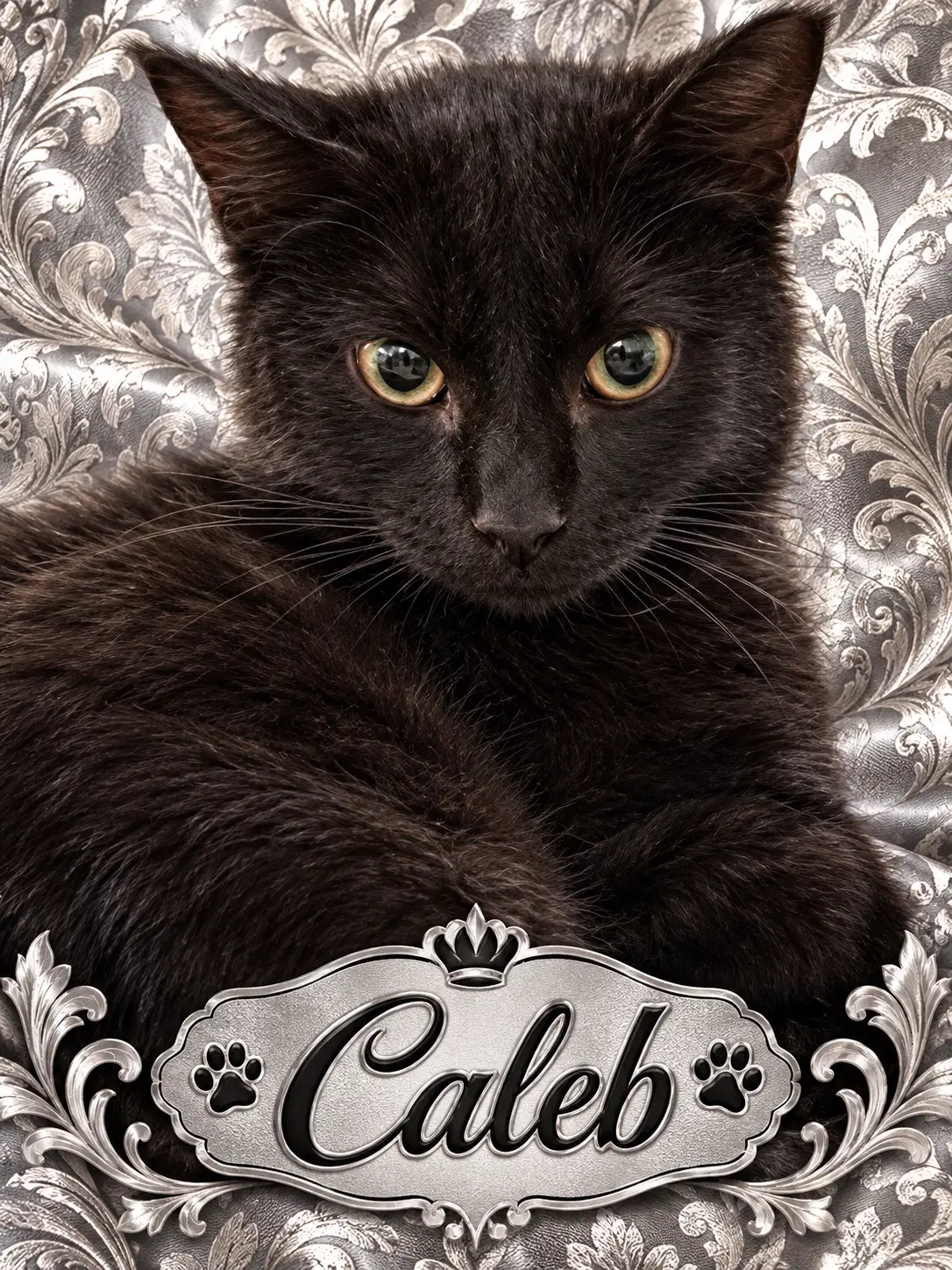 Caleb image 2