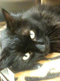 Missy