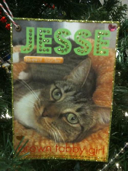 Jesse